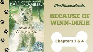 BECAUSE OF WINNDIXIE Chapters 3 amp 4 Read Aloud [upl. by Arob]