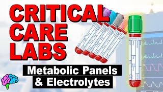 Metabolic Panels and Electrolytes  BMP vs CMP  Critical Care Labs [upl. by Gnilyarg]