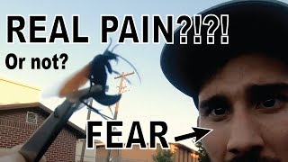 Stung by a Tarantula Hawk [upl. by Eilloh]