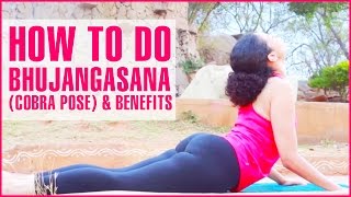 How To Do BHUJANGASANA Yoga COBRA POSE amp Its Benefits [upl. by Atteuqahs682]