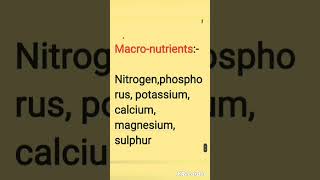 Micros Vs Macros Nutrients shorts [upl. by Arihas]