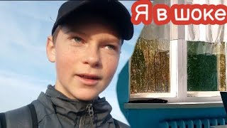 VLOG Ни одного дня В чём плюсы жить на холме [upl. by Cheney]