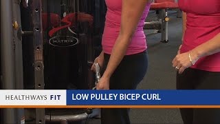 Low Pulley Bicep Curl [upl. by Akeinahs]