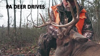 CRAZY PA DEER DRIVES  BIGGEST BUCK YET [upl. by Dickson]