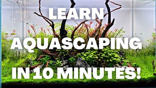 Complete Aquascaping Beginners Guide  Learn ALL The Basics [upl. by Vasilek]