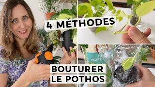 🌿 BOUTURER LE POTHOS  4 TECHNIQUES POUR RÉUSSIR SON BOUTURAGE  🌱 [upl. by Aihsila]