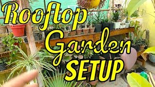 Want Rooftop Garden  Rooftop Gardening Basic Information for All Beginners [upl. by Nalyk]