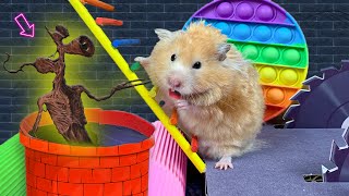 🐹 Hamster escapes Siren Head prison  Cute Hamster Maze [upl. by Leinad]