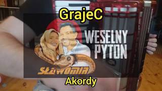 SŁAWOMIR  quotWeselny Pytonquot GrajeC akordeon cover  akordy w opisie [upl. by Lareneg]