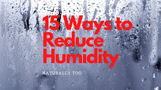 15 Ways to Reduce Humidity in Your House [upl. by Eanrahs897]