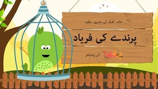 Toffee TV  Parinday Ki Faryaad  A Poem By Allama Iqbal  Kids Urdu Poem [upl. by Luisa]