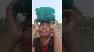 Mera Diwala 🥴  The most viral comedy by Maabeta 🔥 ytshorts shorts [upl. by Ferriter204]