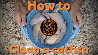 How To Clean A Catfish Fast And Easy [upl. by Yecaj122]