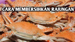 CARA MEMBERSIHKAN KEPITING RAJUNGAN  CARA MENGUPAS RAJUNGAN [upl. by Nehr]