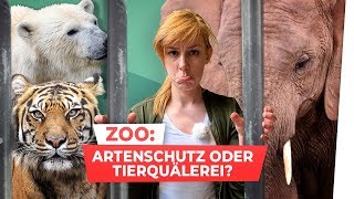 Tiere im Zoo Quälerei oder Artenschutz [upl. by Aleksandr]