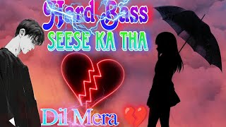 SEESE KA THA DIL 💔 MERA SAD SONG  HEART BROKEN 💔 SONG [upl. by Gerda]