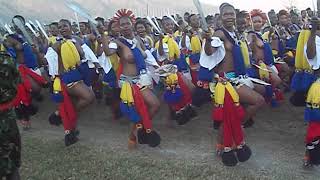 Royal Eswatini Police maidens dancing before their Majesties during the 2018 Umhlanga Reeddance [upl. by Nerty]