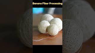 Banana Fiber Processing [upl. by Stock]