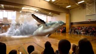 Whale Surprise Jumps into a Gym in Mixed Reality Exciting by Magic Leap [upl. by Nunnery]