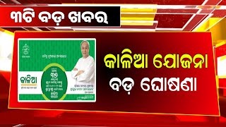 Kalia Yojana New Update 11th January  Budget 2024  Odisha TV [upl. by Anaeerb]