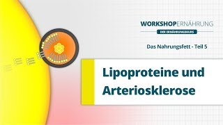 FETT 56 Die Lipoproteine LDL HDL VLDL  Workshop Ernährung [upl. by Myrt]