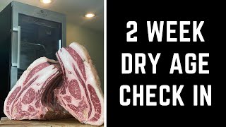 A Guide To Dry Aging Rib Roast Experiment shorts [upl. by Bibbie50]