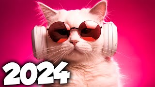 MÚSICA ELETRÔNICA 2024 🔥 AS MÚSICAS ELETRÔNICAS MAIS TOCADAS 🔥 Alok Vintage Culture amp David Guetta [upl. by Halonna495]