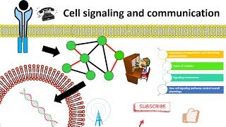 cell signaling overview [upl. by Beryl905]