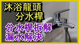 分水桿 蓮蓬頭漏水 分水杆切換有問題 沐浴龍頭分水器拆解分析及解決方法 洗澡 水龍頭 凡爾 落水頭 止洩帶 陶瓷芯 馬桶 堵塞 臉盆 廚房 更換 居家水電修繕 安裝 阿寶頻道 修EP16 [upl. by Zaob]