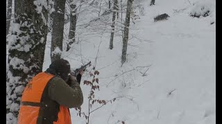 Domuz Avı melin Wild boar hunt Chasse au sanglier Caza de jabalí Türkiye [upl. by Odnarb]