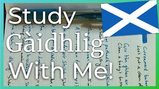 Study Gàidhlig with Me 🏴󠁧󠁢󠁳󠁣󠁴󠁿 Scottish Gaelic Study Vlog 📚 [upl. by Emelina]