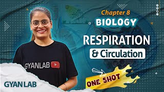 One Shot Lecture  Chp  8  Respiration amp Circulation  Gyanlab  Anjali Patel oneshotlecture [upl. by Barb]