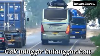 Bus Viral❗Sebenarnya udah biasa tapi jangan dibiasakan Bus yang lagi viral 2022 [upl. by Tirzah508]