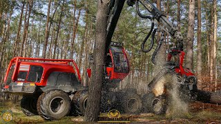 HOLZFÄLLER EXTREM Komatsu 931xc Harvester am Limit im Kampf gegen den Borkenkäfer I Waldsterben 2021 [upl. by Inol]