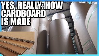 How Cardboard is Made  Factory Tour [upl. by Nosnar]