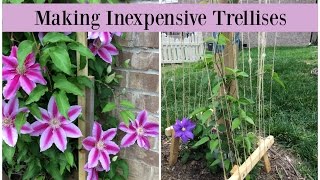 Making Inexpensive Trellises [upl. by Houlberg]