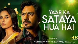 New version song  Yaar ka Sataya Hua Hai  Jaani  B Praak  Shehnaaz Gill  Nawazuddin Siddiqui [upl. by Sumerlin]