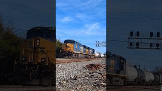 CSX local train L619 departs Raleigh NC at Powell Drive 11132024 [upl. by Aynosal]