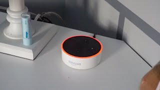 My Alexa Turned Evil [upl. by Uzial]