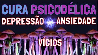 Como Psicodélicos podem Curar Depressão Ansiedade e Vícios [upl. by Sjoberg]