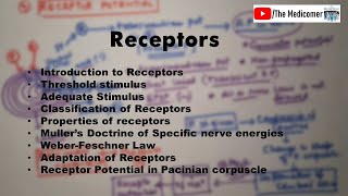 Receptors Physiology [upl. by Ecnarrot]