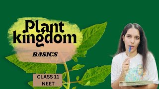 taxonomy  plant kingdom class 11 NEET [upl. by Kele]