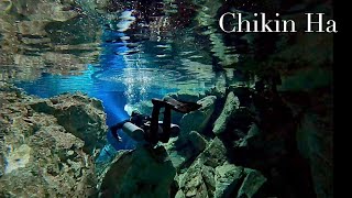 CHIKIN HA Cenote Tulum [upl. by Asiak]