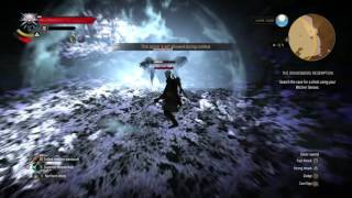 The Witcher 3 How to defeat Arachnomorph Colossi On Death March [upl. by Sparks770]