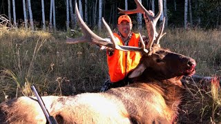 2019 DIY Colorado Elk 6x6 Bull Muzzleloader Kill Shot [upl. by Widera]