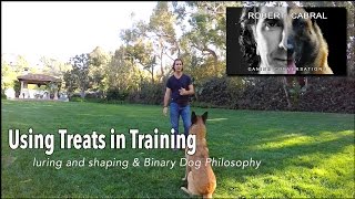 Dog Training Using Food Rewards  Robert Cabral Dog Training 8 [upl. by Aicilec]