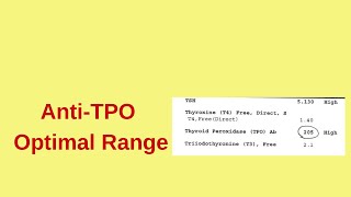 TPO Antibodies in Hashimoto’s and Graves’ Disease [upl. by Haneekas892]