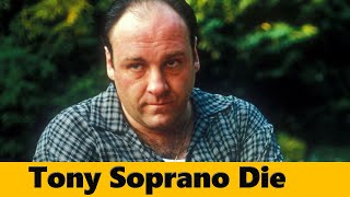 The Sopranos Ending Explained Did Tony Die [upl. by Ettesoj]