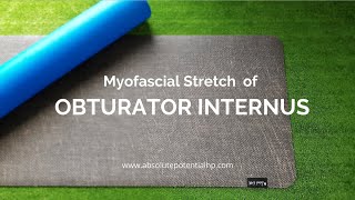 Myofascial stretch of the Obturator Internus [upl. by Kucik]