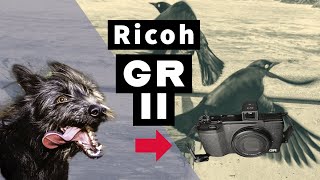 The Ricoh GR II my favorite street camera ever [upl. by Lathe796]